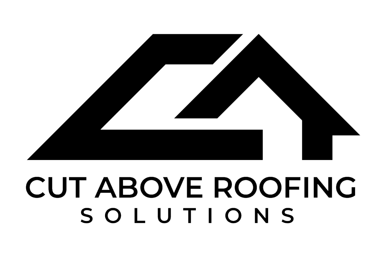 At Roofing Renovations Hamilton, we do professional roofing services with a trusted black transparent logo symbolizing quality.